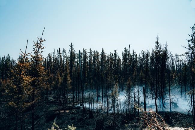 More evacuations in Quebec as record-breaking fires continue to burn | iNFOnews.ca