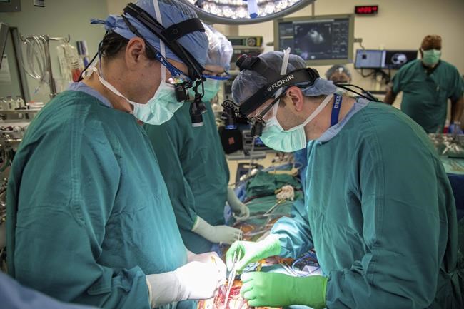 Newer heart transplant method could allow more patients a chance at lifesaving surgery | iNFOnews.ca CP267573210