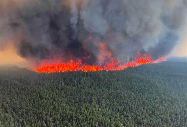 Wildfire triggers evacuation order for Tumbler Ridge, B.C. | iNFOnews.ca