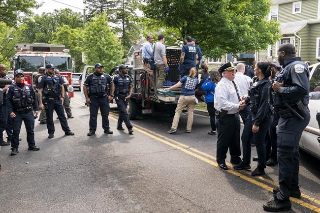 Young black bear wanders Washington D.C. neighborhood, sparking a frenzy before being captured | iNFOnews.ca