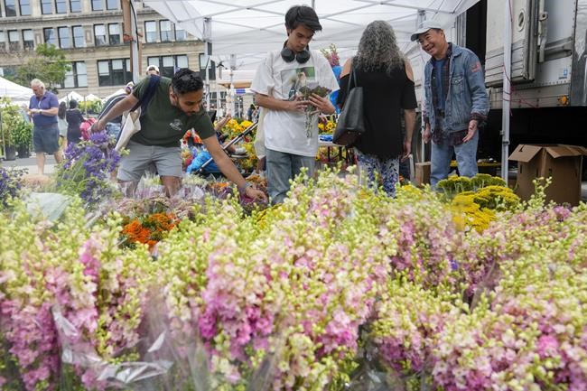 Farmers markets thrive as customers and vendors who latched on during the pandemic remain loyal | iNFOnews.ca