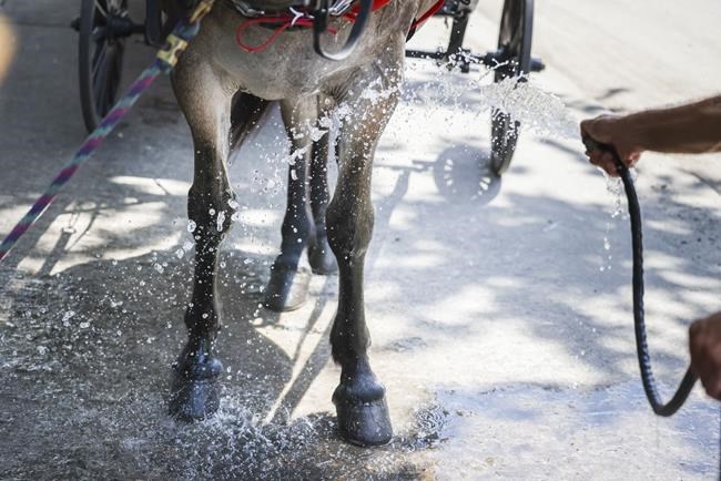 The heat wave blamed for 13 deaths in Texas so far spreads eastward | iNFOnews.ca The heat wave blamed for 13 deaths in Texas so far spreads eastward | iNFOnews.ca