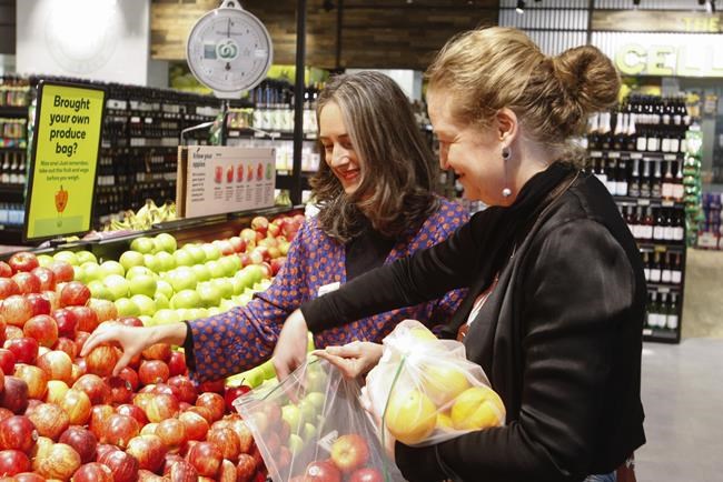 New Zealand says it's the first to ban thin plastic bags from supermarkets | iNFOnews.ca New Zealand says it's the first to ban thin plastic bags from supermarkets | iNFOnews.ca