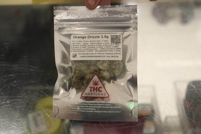 Maryland will begin recreational marijuana sales over the holiday weekend | iNFOnews.ca