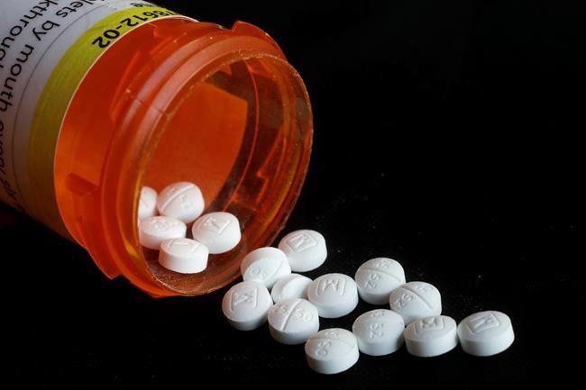 Opioids aren't effective in treating neck, lower back pain, study says | iNFOnews.ca Opioids aren't effective in treating neck, lower back pain, study says | iNFOnews.ca