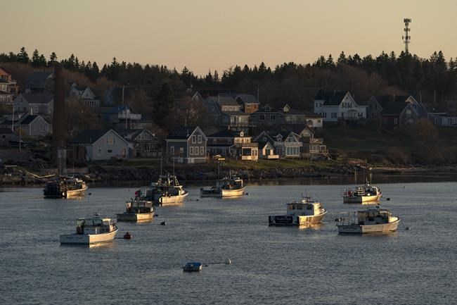 The world's tallest flagpole. A tiny Maine town. An idea meant to unite people is dividing them | iNFOnews.ca