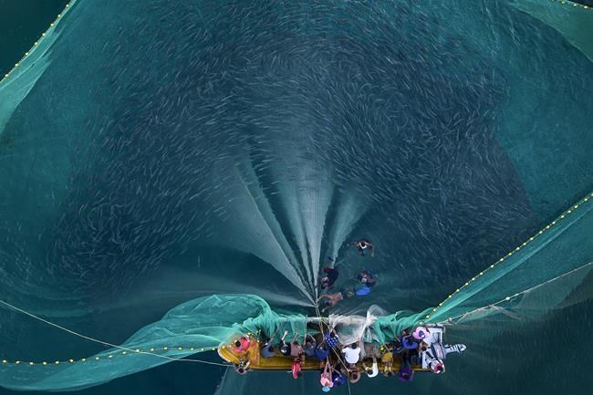 Venezuelan women are increasingly taking up the grueling work of fishing in the Caribbean | iNFOnews.ca