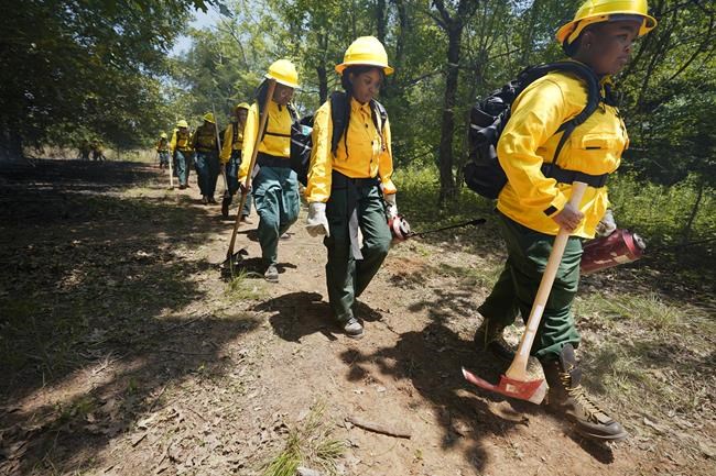 US Forest Service and historically Black colleges unite to boost diversity in wildland firefighting | iNFOnews.ca US Forest Service and historically Black colleges unite to boost diversity in wildland firefighting | iNFOnews.ca