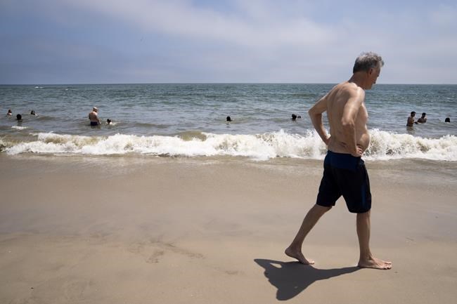 Drones sweep for sharks along New York coast as encounters rise with beachgoers | iNFOnews.ca