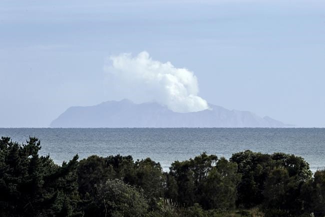 Survivors of New Zealand's deadly volcano eruption will testify at a trial of tourism operators | iNFOnews.ca
