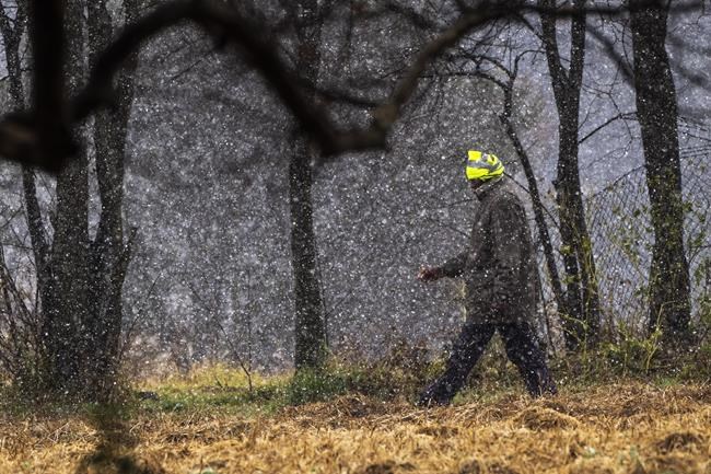 Cold temperatures to continue in South Africa but no further snowfall is predicted | iNFOnews.ca Cold temperatures to continue in South Africa but no further snowfall is predicted | iNFOnews.ca