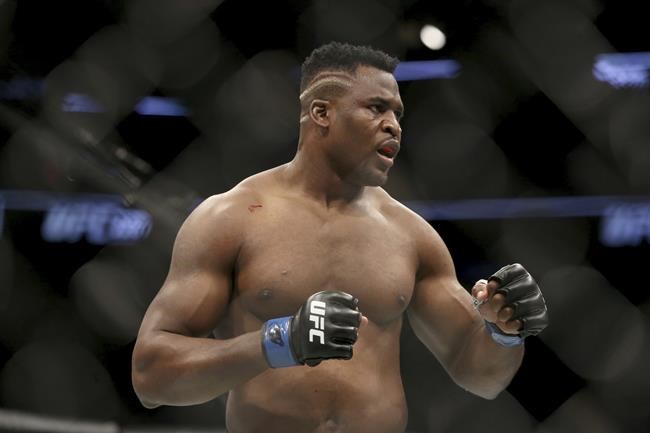 Tyson Fury and Francis Ngannou will fight in Saudi Arabia in October | iNFOnews.ca Tyson Fury and Francis Ngannou will fight in Saudi Arabia in October | iNFOnews.ca
