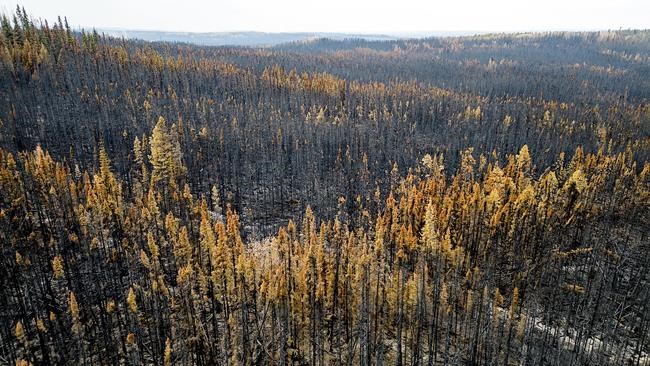 B.C. residents urged to conserve water as worsening drought conditions parch province | iNFOnews.ca