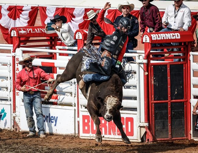 Four Canadians prevail in Calgary Stampede rodeo finals | iNFOnews.ca