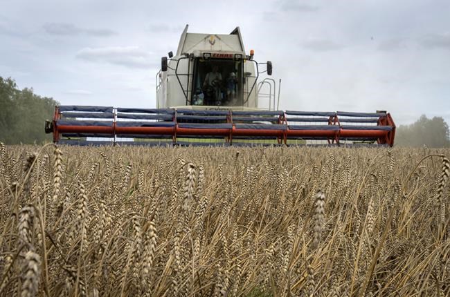 Why allowing Ukraine to ship grain during Russia's war matters to the world | iNFOnews.ca