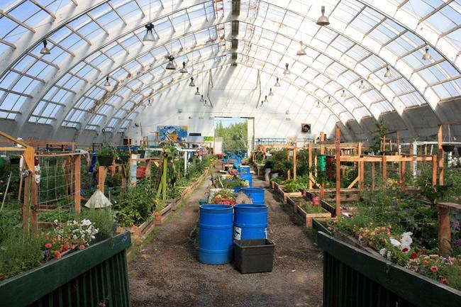 Greenhouses aim to bring fresh produce to North, putting a dent in food insecurity | iNFOnews.ca Greenhouses aim to bring fresh produce to North, putting a dent in food insecurity | iNFOnews.ca