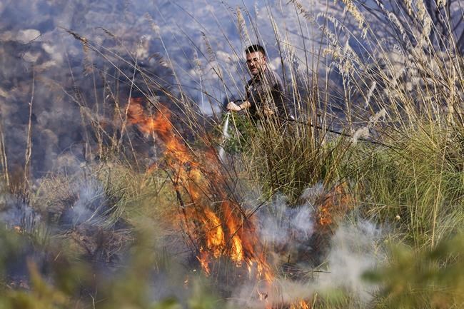 Deadly wildfires across the Mediterranean destroy homes, threaten nature reserves | iNFOnews.ca