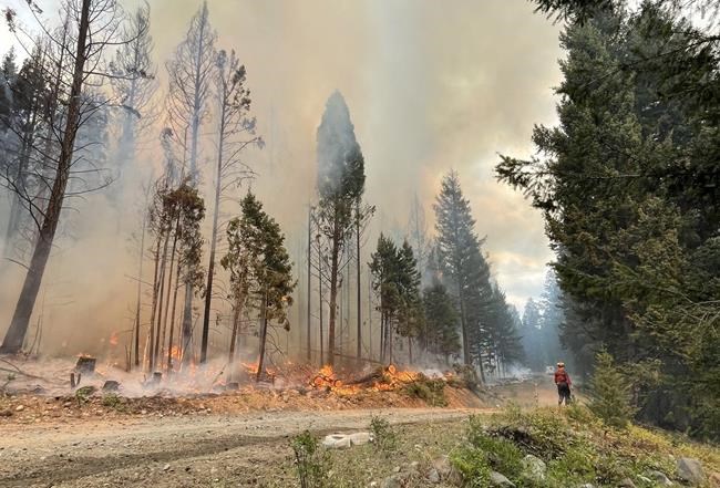 In the news today: B.C. wildfire forces evacuation of music festival | iNFOnews.ca In the news today: B.C. wildfire forces evacuation of music festival | iNFOnews.ca