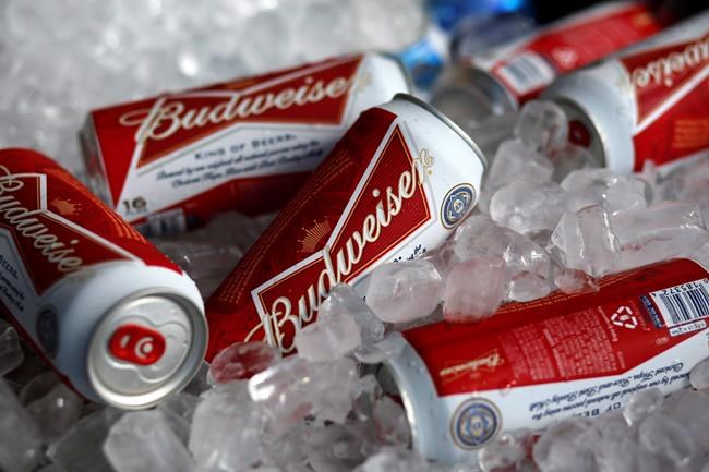 Tilray to buy eight beer brands from Anheuser-Busch, tripling its beverages on tap | iNFOnews.ca Tilray to buy eight beer brands from Anheuser-Busch, tripling its beverages on tap | iNFOnews.ca