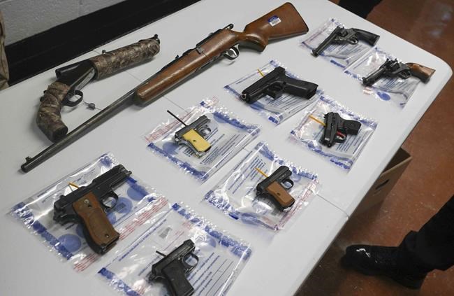Appeals court rules against longstanding drug user gun ban cited in Hunter Biden case | iNFOnews.ca