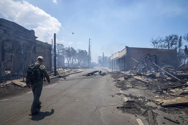 Flash drought, invasive grasses, winds, hurricane and climate change fuel Maui's devastating fires | iNFOnews.ca Flash drought, invasive grasses, winds, hurricane and climate change fuel Maui's devastating fires | iNFOnews.ca