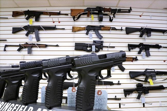Illinois Supreme Court upholds state's ban on semiautomatic weapons | iNFOnews.ca