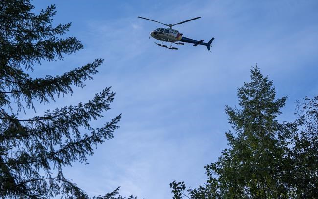 RCMP make arrests again at B.C. logging blockades after court odyssey | iNFOnews.ca RCMP make arrests again at B.C. logging blockades after court odyssey | iNFOnews.ca