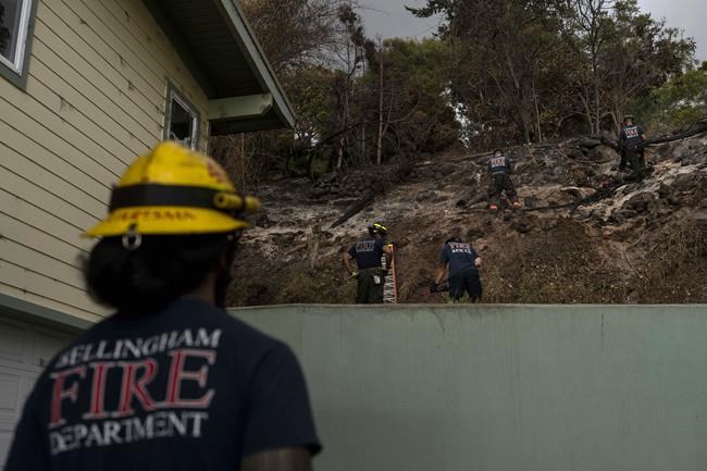 Hawaii works to pause land transactions in area of deadly Maui wildfires. Follow live updates | iNFOnews.ca