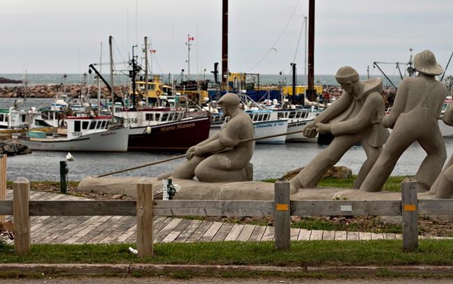 Oceanographers say warming waters in the Gulf of St. Lawrence affecting animal life | iNFOnews.ca