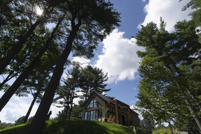 Planting roots: Quebec cemetery turns former golf course into forest for the deceased | iNFOnews.ca