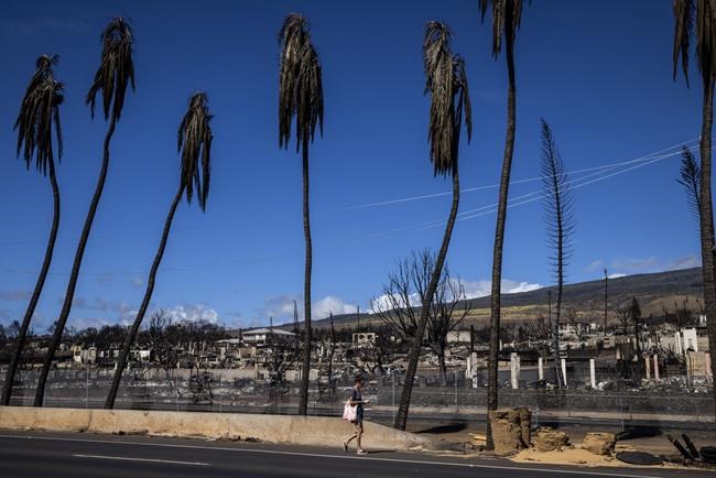 Maui town ravaged by fire will 'rise again,' Hawaii governor says of long recovery ahead | iNFOnews.ca Maui town ravaged by fire will 'rise again,' Hawaii governor says of long recovery ahead | iNFOnews.ca
