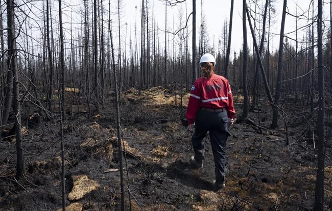 Hydro-Québec workers, vulnerable Cree community members evacuated due to wildfires | iNFOnews.ca