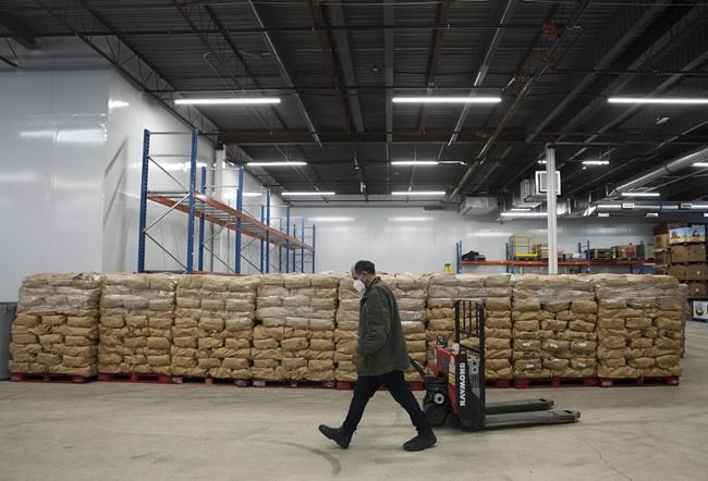 Inspection agency finds four more fields with potato wart in P.E.I., completes probe | iNFOnews.ca