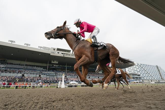 Paramount Prince wins 164th running of $1-million King's Plate race | iNFOnews.ca
