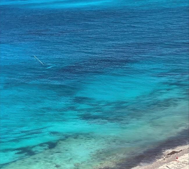US Coast Guard rescues man who was stranded for 3 days on an island in the Bahamas | iNFOnews.ca