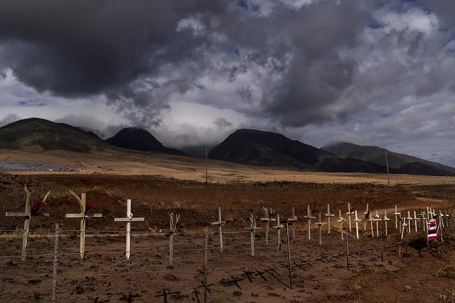 After Maui officials named 388 people unaccounted for in fires, many called to say they're OK | iNFOnews.ca