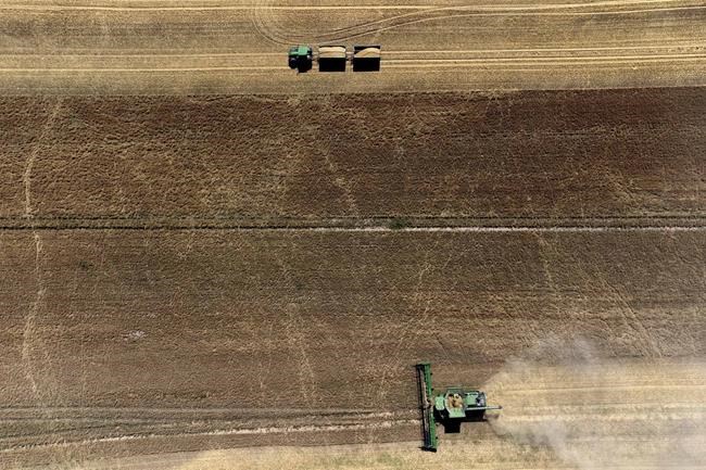 Norway to spend $6 million a year stock-piling grain, citing pandemic, war and climate change | iNFOnews.ca Norway to spend $6 million a year stock-piling grain, citing pandemic, war and climate change | iNFOnews.ca