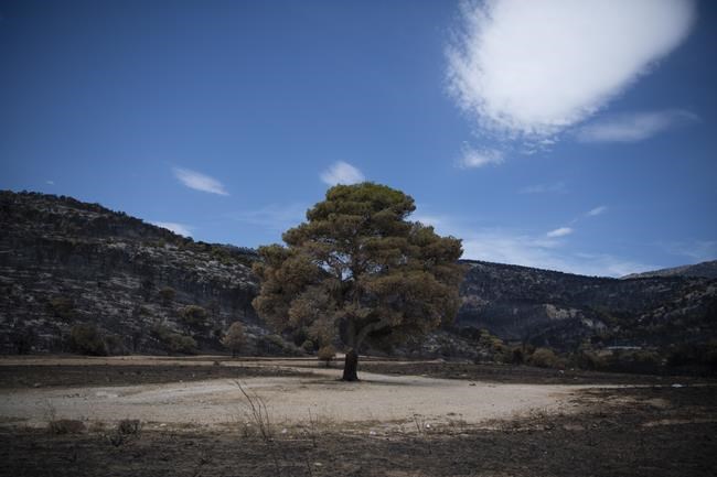 Massive wildfire in northeastern Greece persists for 11th day despite European firefighting efforts | iNFOnews.ca Massive wildfire in northeastern Greece persists for 11th day despite European firefighting efforts | iNFOnews.ca