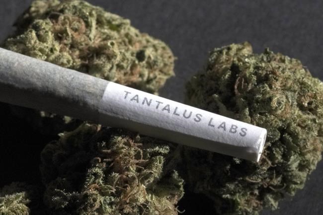 Cannabis company Atlantic Cultivation acquires insolvent Tantalus Labs brand | iNFOnews.ca