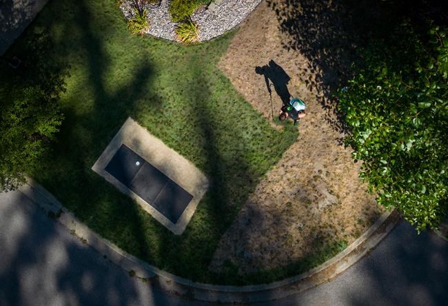The grass that's greener in drought-stricken B.C. might have been painted | iNFOnews.ca