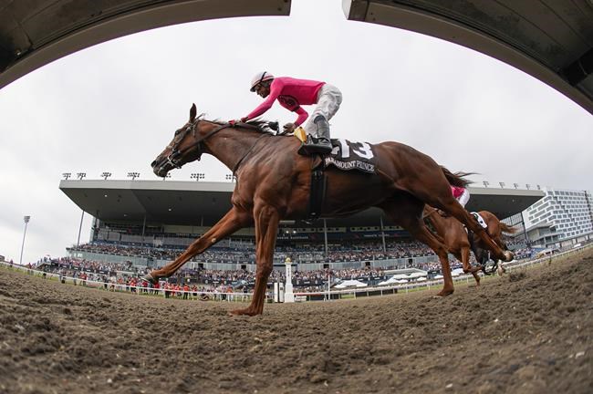 King's Plate winner Paramount Prince to run in Prince of Wales | iNFOnews.ca King's Plate winner Paramount Prince to run in Prince of Wales | iNFOnews.ca