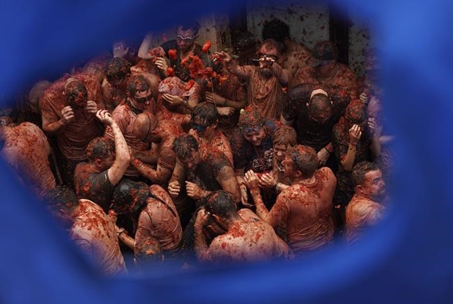 Revelers hurl tomatoes at each other and streets awash in red pulp in Spanish town's Tomatina party | iNFOnews.ca Revelers hurl tomatoes at each other and streets awash in red pulp in Spanish town's Tomatina party | iNFOnews.ca