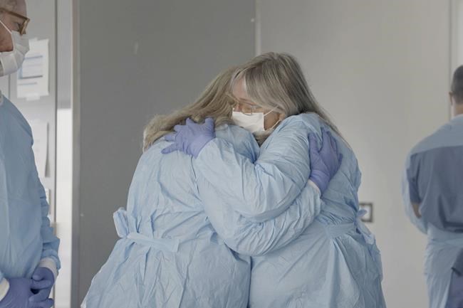Pig kidney works a record 2 months in donated body, raising hope for animal-human transplants | iNFOnews.ca