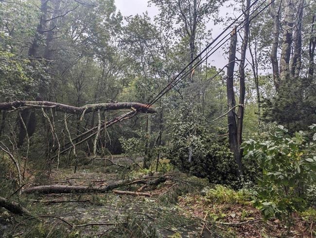 Hurricane watches issued for southwestern Nova Scotia and southern New Brunswick | iNFOnews.ca