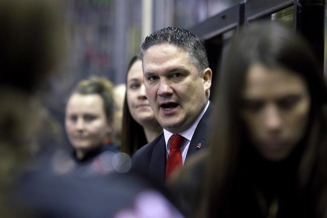 Canadians dominate PWHL coach hirings, Troy Ryan named Toronto coach | iNFOnews.ca Canadians dominate PWHL coach hirings, Troy Ryan named Toronto coach | iNFOnews.ca