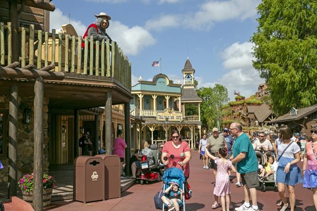 Wild black bear at Walt Disney World in Florida captured after search | iNFOnews.ca Wild black bear at Walt Disney World in Florida captured after search | iNFOnews.ca