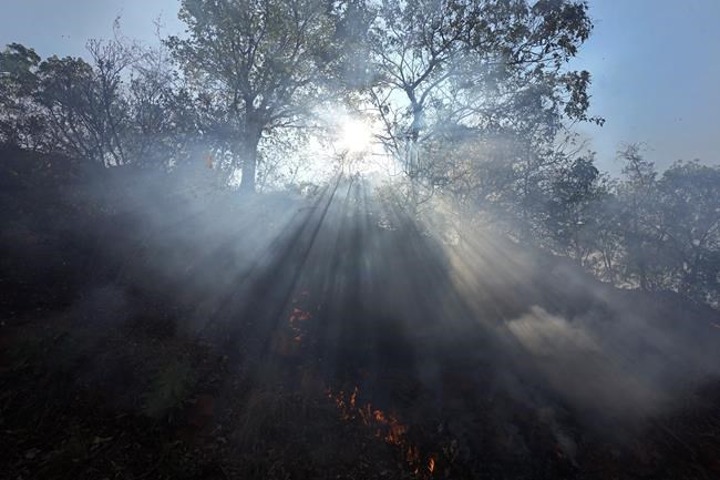 Brazil’s firefighters battle wildfires raging during rare late-winter heat wave | iNFOnews.ca Brazil’s firefighters battle wildfires raging during rare late-winter heat wave | iNFOnews.ca
