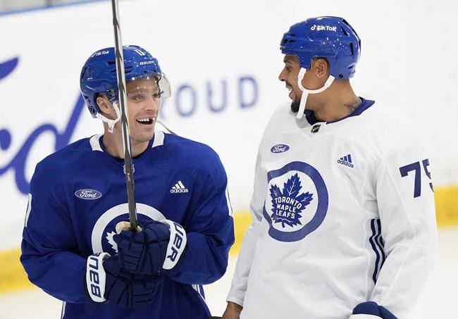 Maple Leafs excited by 'different elements' brought by Reaves, Domi and Bertuzzi | iNFOnews.ca Maple Leafs excited by 'different elements' brought by Reaves, Domi and Bertuzzi | iNFOnews.ca