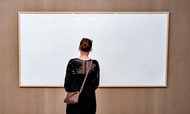 A Danish artist who submitted empty frames as artwork is appealing court ruling to repay the cash | iNFOnews.ca