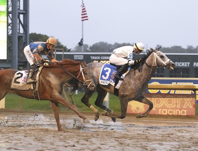 Horseracing Integrity and Safety Authority says progress is being made in the sport | iNFOnews.ca Horseracing Integrity and Safety Authority says progress is being made in the sport | iNFOnews.ca